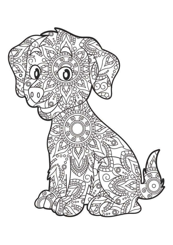Mein Mandala Malbuch: 50 wunderschöne und einzigartige Tier - Mandalas für Kinder ab 8 Jahren zum Ausmalen und Entspannen.