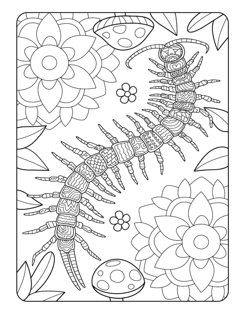 Mein tierisch tolles Mandala Malbuch: Kreativer Ausmalspaß mit 50 wunderschönen Tiermandalas für Kinder ab 4 Jahren