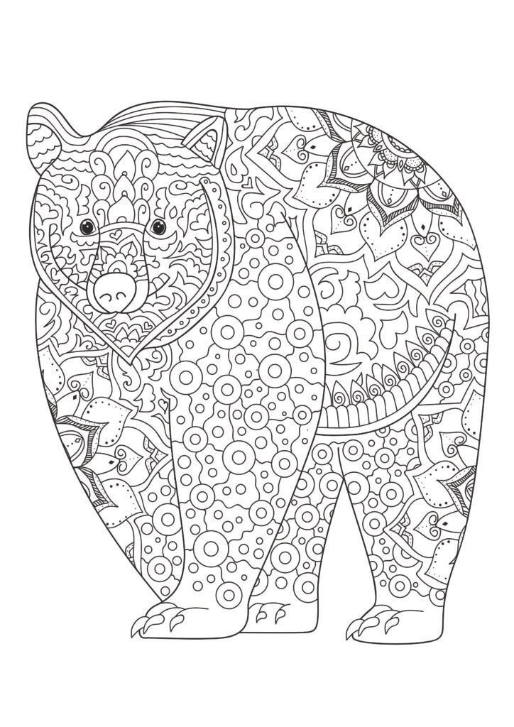 Mein tierisch tolles Mandala Malbuch: 55 wunderschöne und einzigartige Tier - Mandalas für Kinder ab 8 Jahren zum Ausmalen und Entspannen.