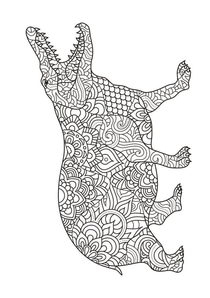 Mein Monster Mandala Malbuch: 50 tolle Monster-Mandalas für Kinder zum Ausmalen und Entspannen.