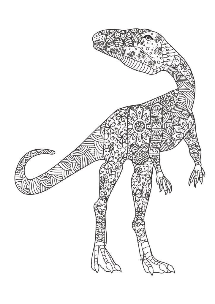 Mein gigantosaurisches Mandala Malbuch: 55 eindrucksvolle und einzigartige Dino - Mandalas für Kinder ab 8 Jahren zum Ausmalen und Entspannen.