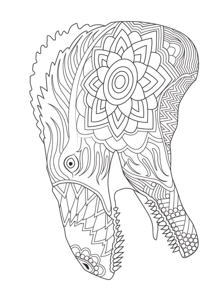 Mein gigantosaurisches Mandala Malbuch: 55 eindrucksvolle und einzigartige Dino - Mandalas für Kinder ab 8 Jahren zum Ausmalen und Entspannen.