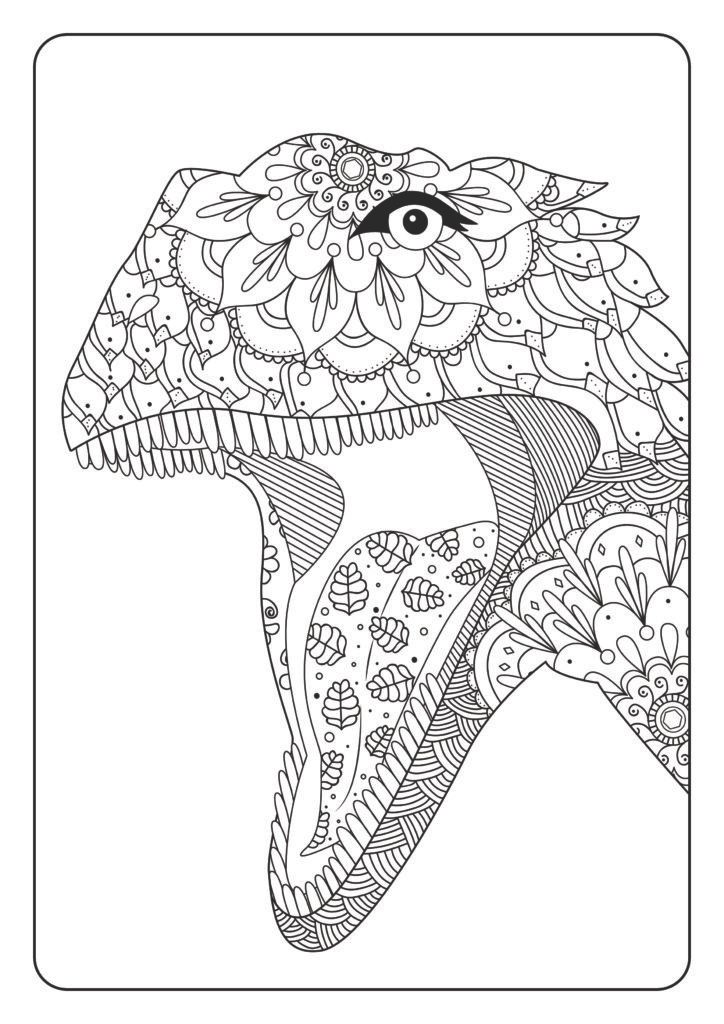 Mein gigantosaurisches Mandala Malbuch: 55 eindrucksvolle und einzigartige Dino - Mandalas für Kinder ab 8 Jahren zum Ausmalen und Entspannen.