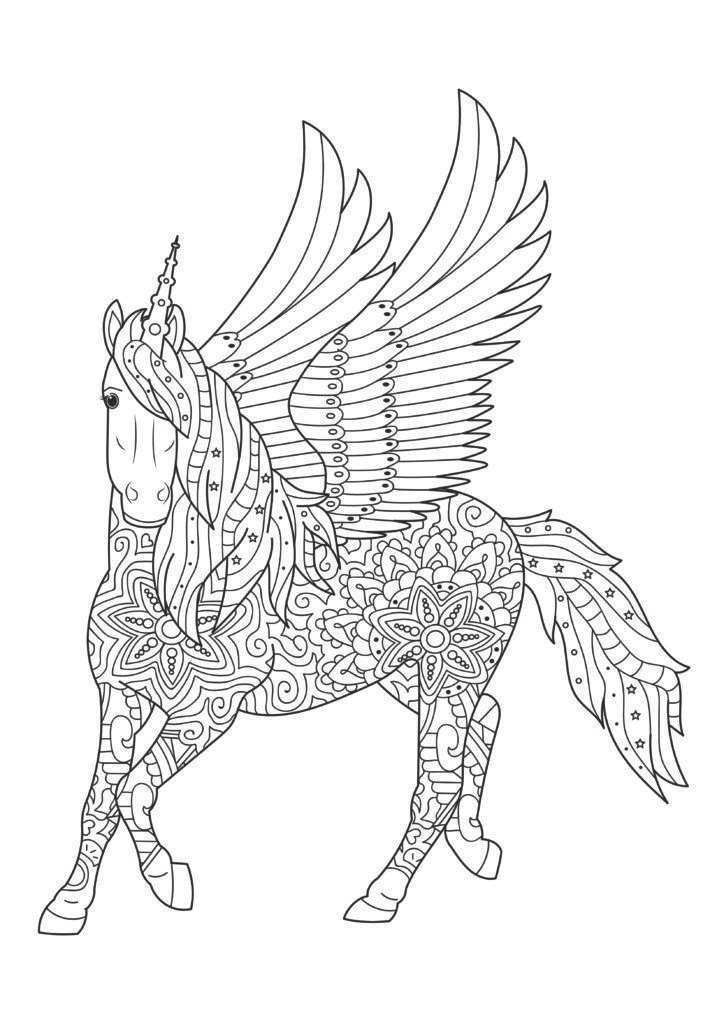 Mein fabelhaftes Einhorn Mandala Malbuch: 55 wunderschöne und einzigartige Einhorn - Mandalas für Kinder ab 8 Jahren zum Ausmalen und Entspannen.